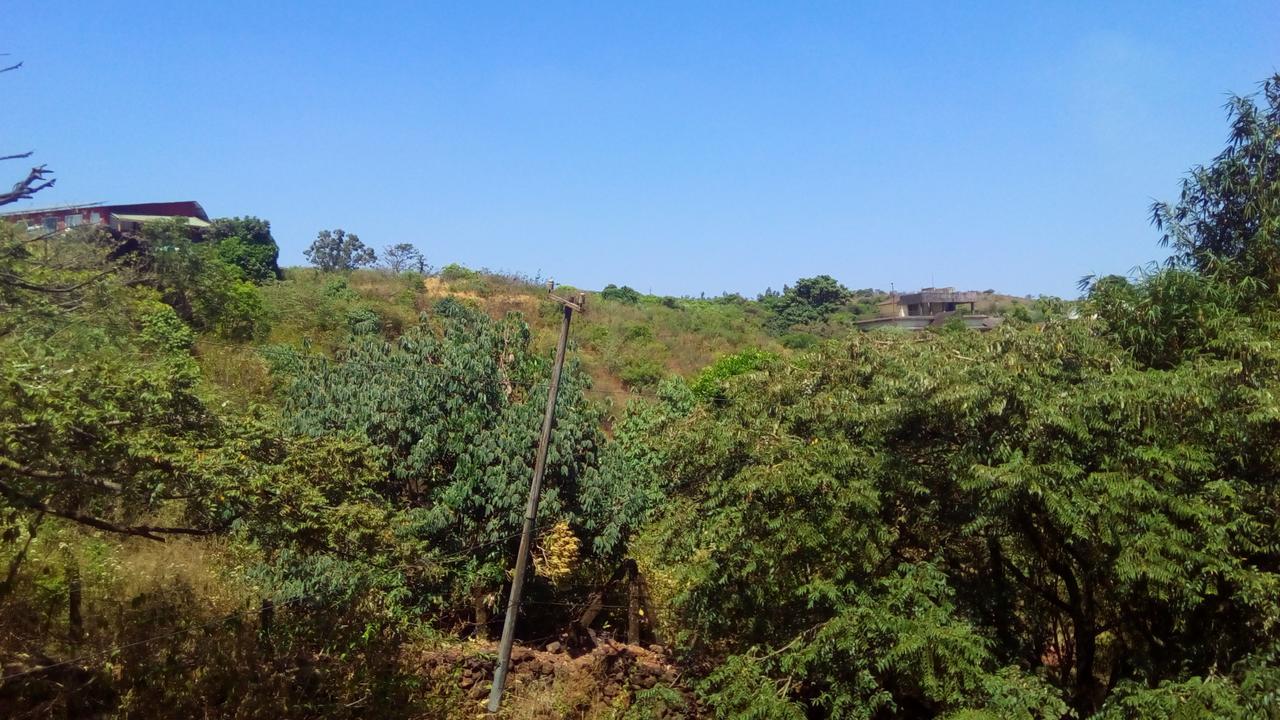 Hotel Tree Top มหาบาเลชวาร์ ภายนอก รูปภาพ